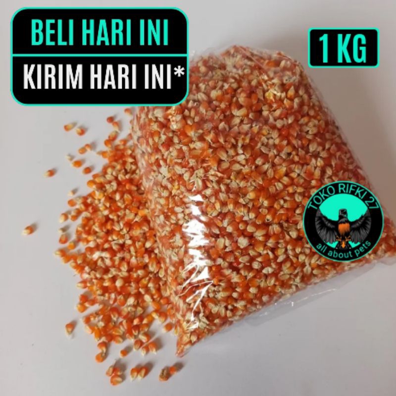 JAGUNG KRISTAL CILILIN MERAH (B)CILILIN A/PROBOLINGGO PAKAN BURUNG MERPATI KEMASAN 1 KG