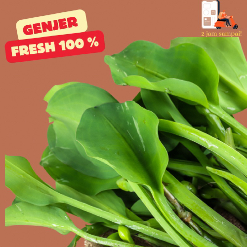 

Genjer Sayur Genjer 1 ikat KIRIM INSTAN BANDUNG