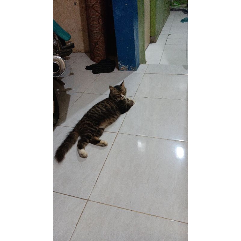 

makanan