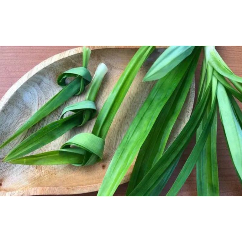 

Daun Pandan Perpack