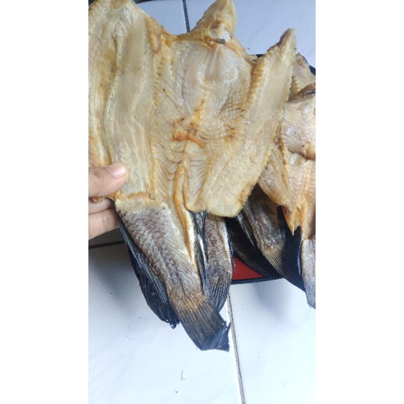 

Ikan asin gabus / asin gabus