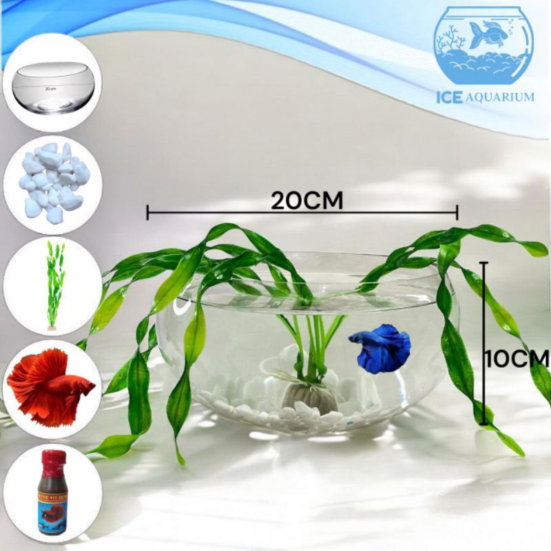 Akuarium Mini Ikan / Aquarium Bahan Kaca / Ikan Cupang (C)