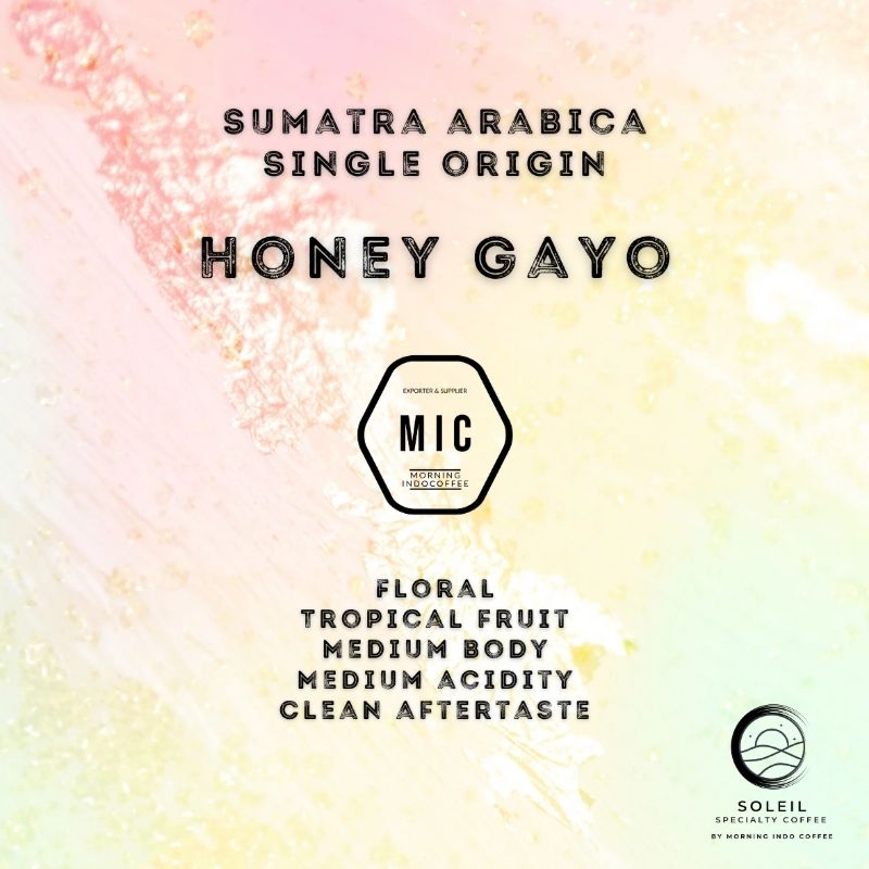 

Honey Gayo - Sumatra Arabica - Specialty Grade
