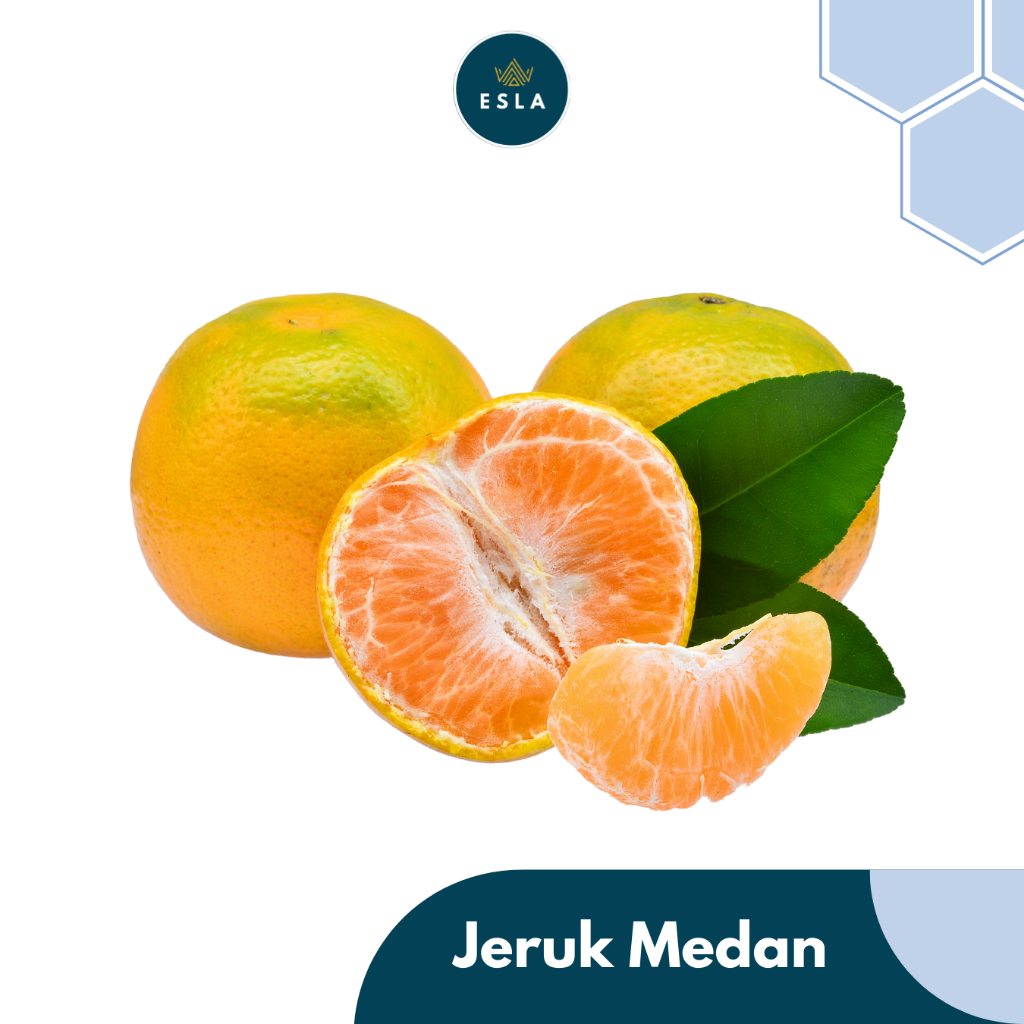 

JERUK MEDAN 1 KG I Buah Fresh dan Premium - ESLA