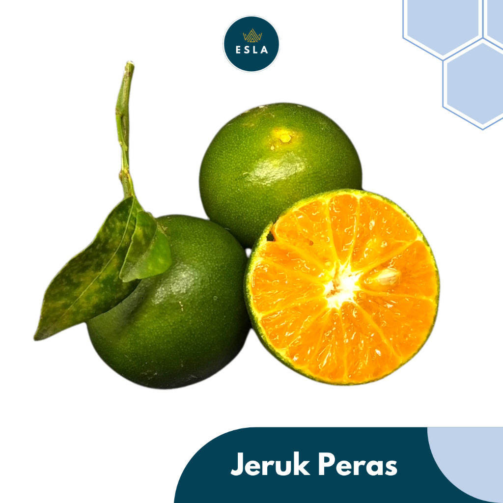 

JERUK PERAS 1 KG I Buah Fresh dan Premium - ESLA