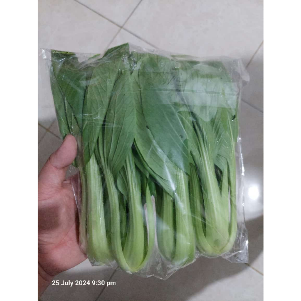 

[oddsolshop] pekanbaru/Sayur Hijau Sayuran Segar Pakchoy Pak Choy Merek Random Pakcoy Xiao Bai Cai