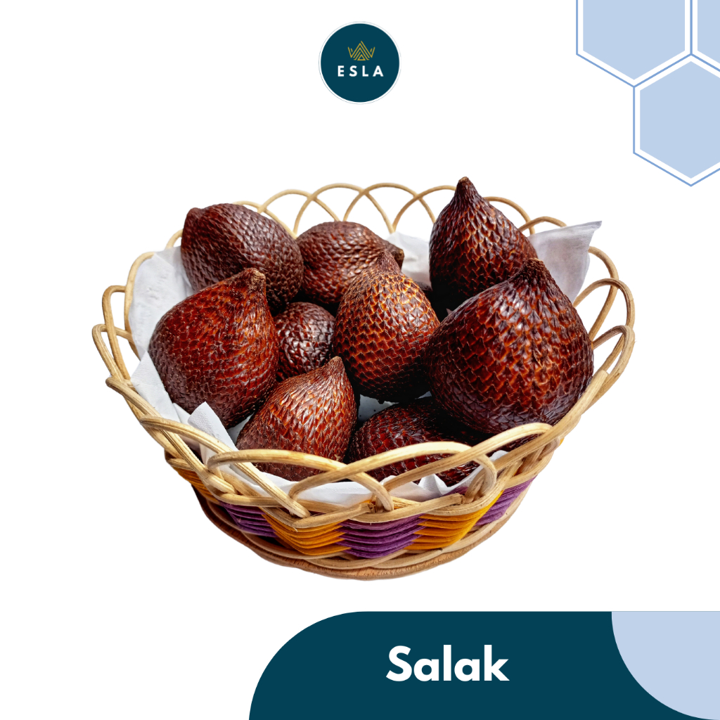 

SALAK 1 KG I Buah Fresh dan Premium - ESLA