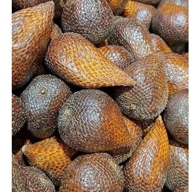 

salak pondoh batam