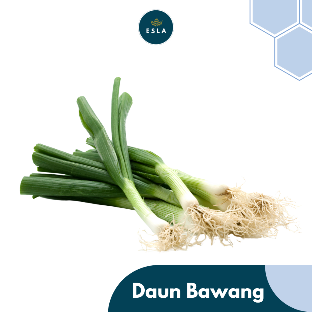 

DAUN BAWANG I Sayur Fresh dan Premium - ESLA