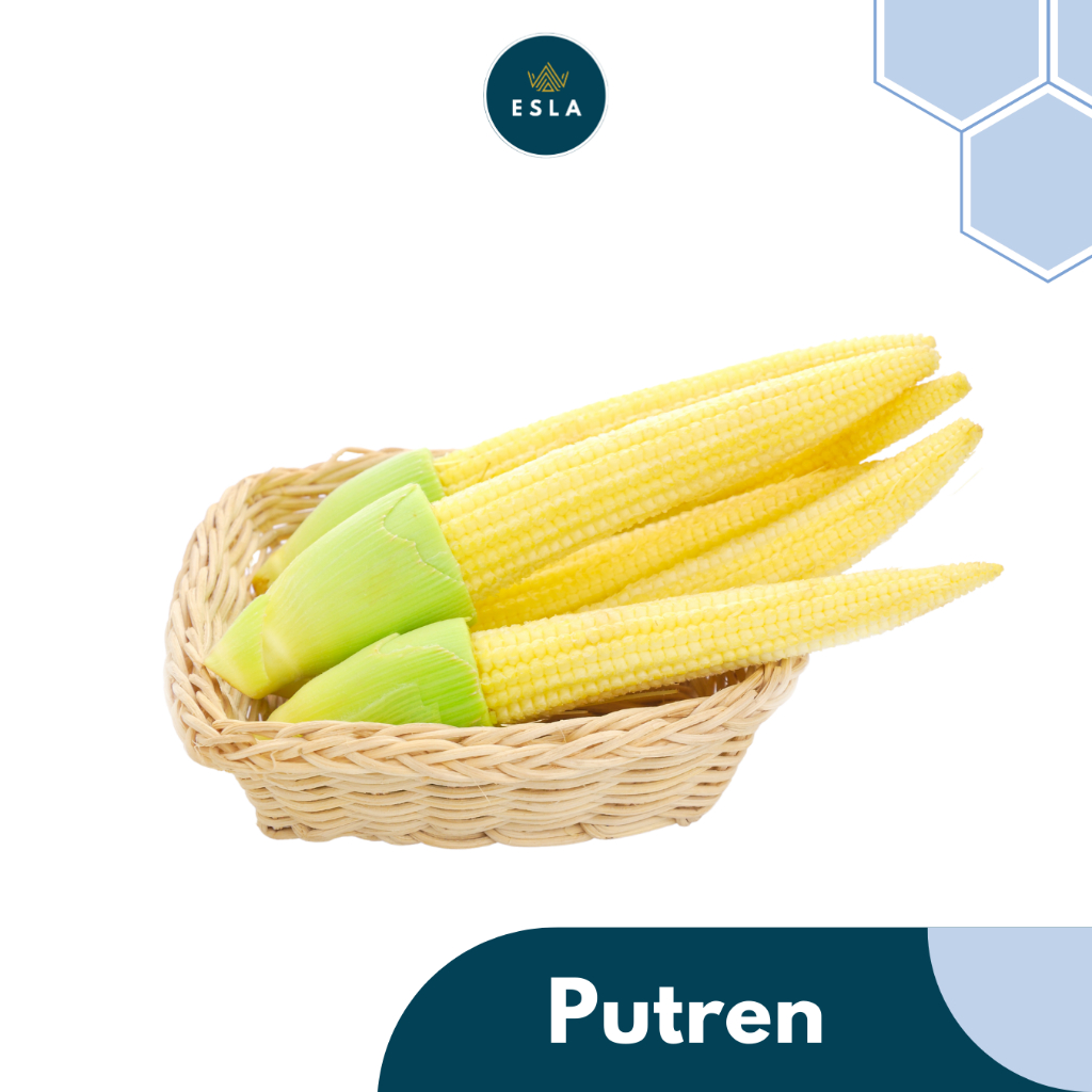 

PUTREN I Sayur Fresh dan Premium - ESLA