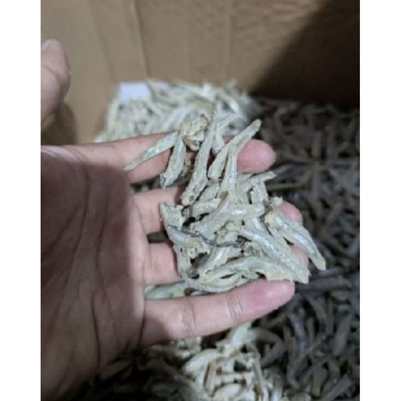 

ikan teri belah kesukaan mak saya.