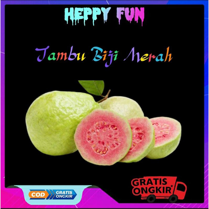 

Jambu Biji Merah 1 KG // Jambu Biji // Buah Jambu // Jambu Cristal