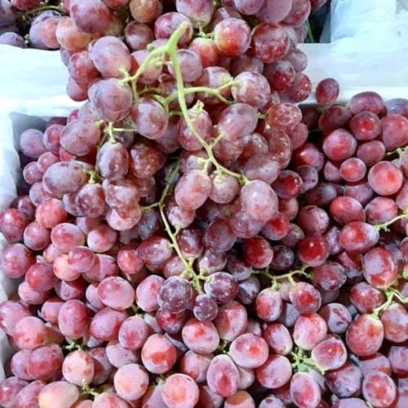 

Buah Anggur merah RRC Import Fresh