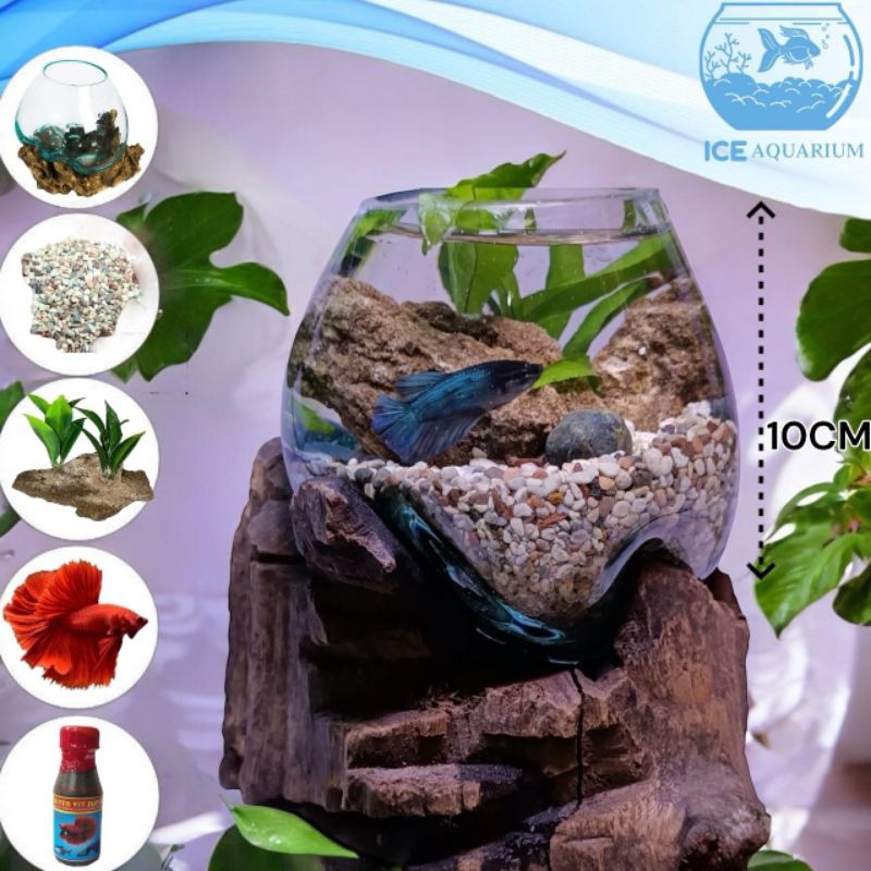 Akuarium Alas Kayu / Aquarium Dengan Tatakan Kayu / Akuarium Tiup / Akuarium Ikan / Ikan Cupang (H)