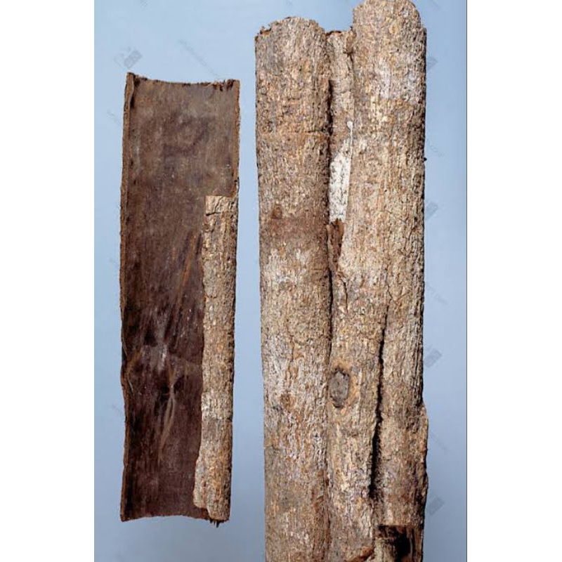 

600 GRAM 川厚朴筒 CHUAN HOU PO TONG MAGNOLIA BARK CORTEX MAGNOLIAE OFFLICINALIS