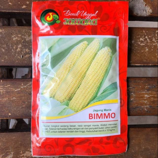 benih jawara jagung manis bimmo