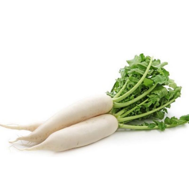 

sayur lobak putih/biji