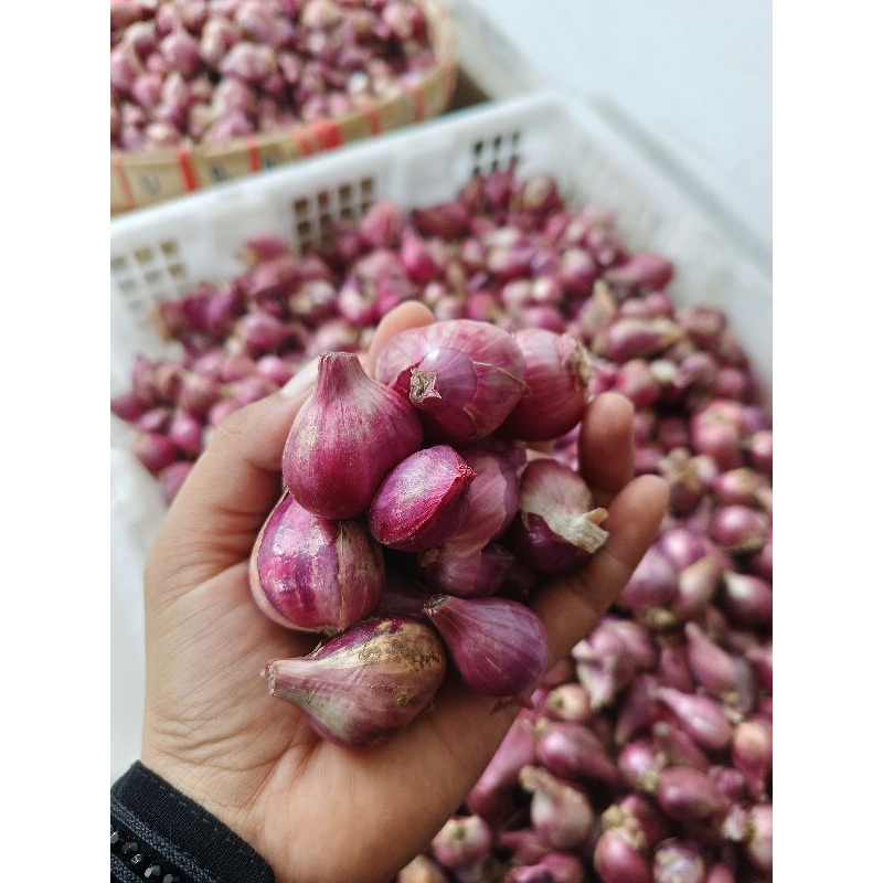 

BAWANG MERAH 1KG | BRAMBANG | BAWANG MERAH KERING