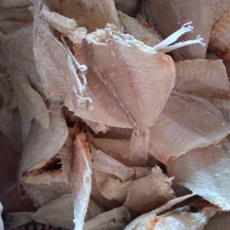 

Ikan Kapasan Asin ( 500 gram)