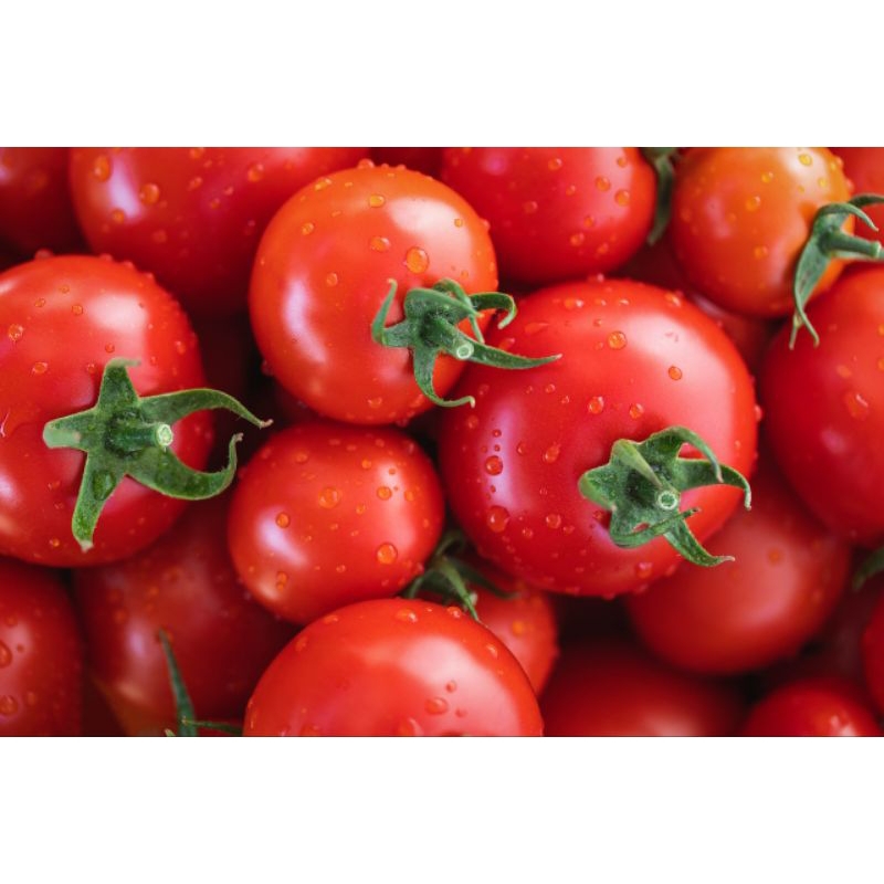 

tomat segar pasar flamboyan 200g