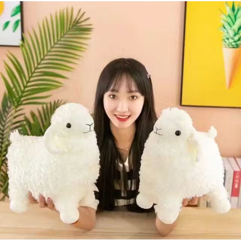 Boneka Domba lucu 25cm / boneka  kambing souvenir aqiqah dan qurban