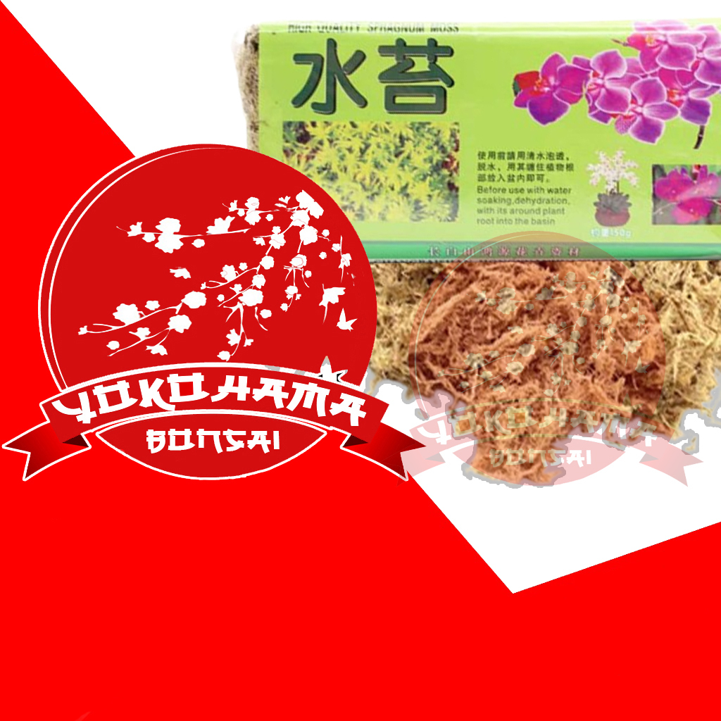 YOKOHAMA BONSAI-JAPAN SOIL,SPHAGNUM MOSS HIGH QUALITY IMPORT