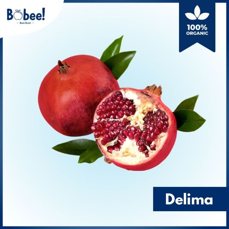 

Buah Delima (1 Buah) Import India I Fresh & Premium | Bobee.Official - (Seluruh Indonesia)