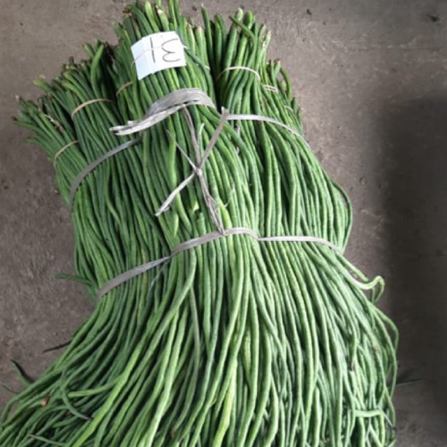 

kacang panjang.1 kilo gram