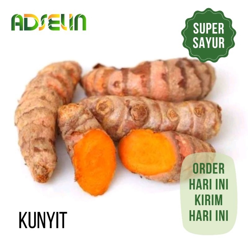 

Kunyit Segar 100gr Super Sayur PENGIRIMAN INSTAN