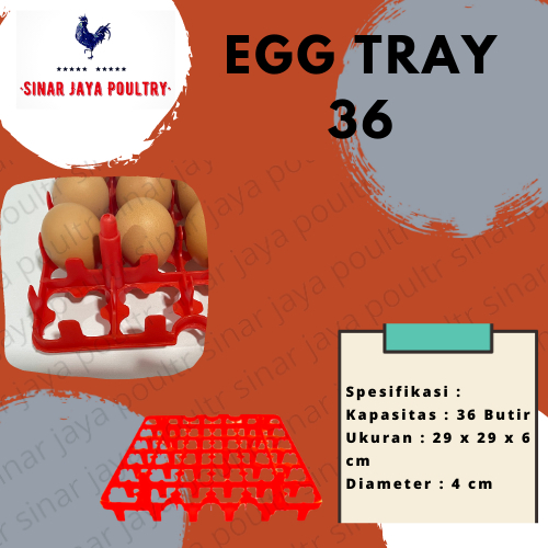 Syafatummy Egg Tray 36 Tetas 1 Pcs Tempat Rak Telur Mesin Tetas Ayam Bebek / Penyimpanan Telor /