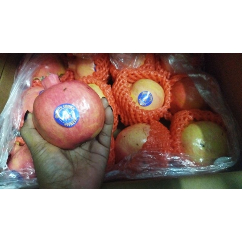 

delima pomegranate best quality/biji