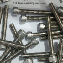 Baut L Stainless SS304 M6 x 45