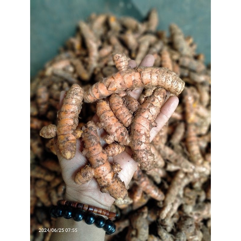 

KUNYIT SUPER BERKULITAS 1KG