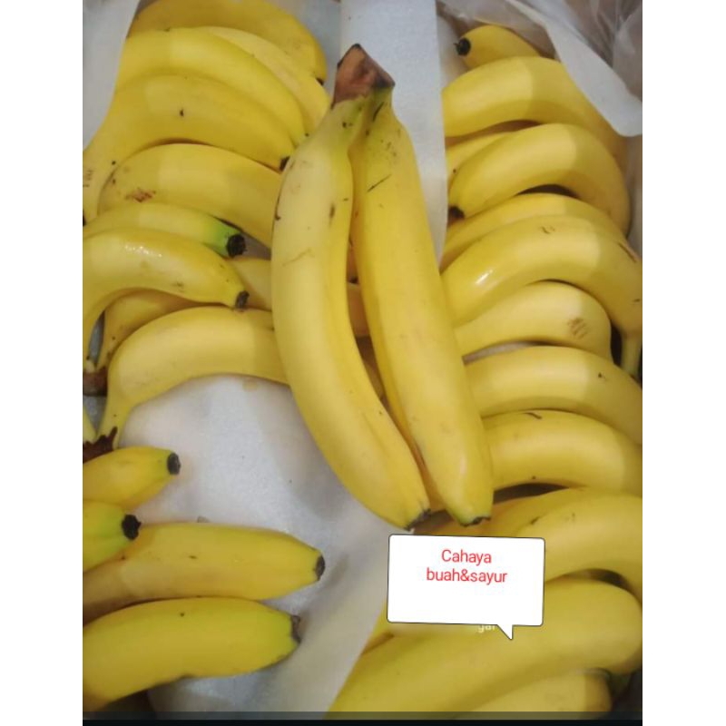 

pisang Sunprise pisang ambon hargga 13.000/kg