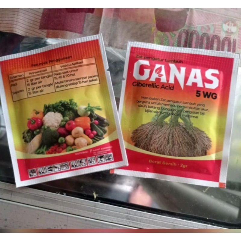 Nutrisi Zat pengatur tumbuh GANAS 5 WG 2gram
