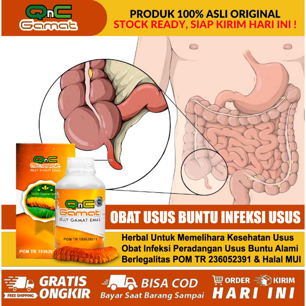 Obat Usus Buntu - Radang Usus - Usus Bocor - Obat Sakit Radang Infeksi Usus Buntu Tanpa Operasi