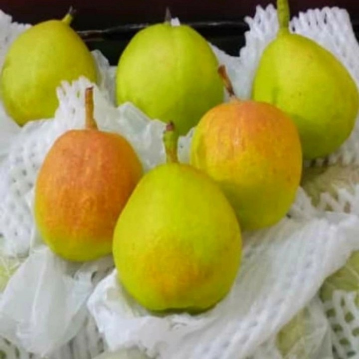 

Pir Siangli Xiang Li Xiang Lie Fragrant Pear 500 gr