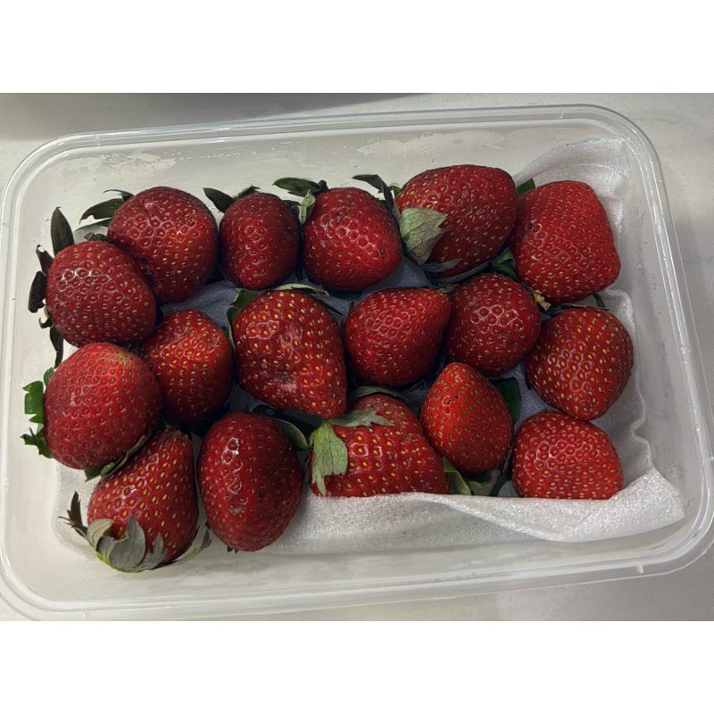 

Strawberry Lokal Fresh 1kotak (strawberry pilihan) 250gr