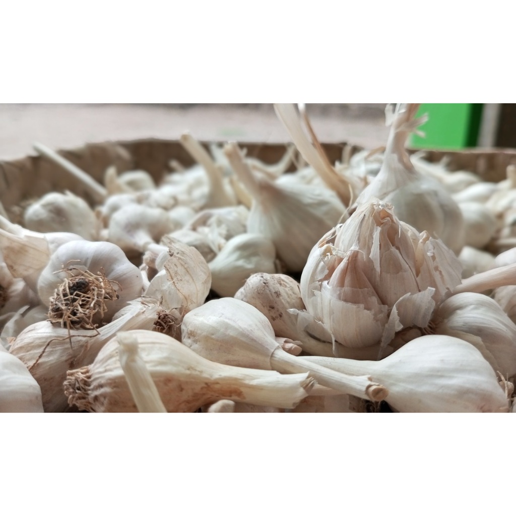 

BAWANG PUTIH GRADE A 900gram