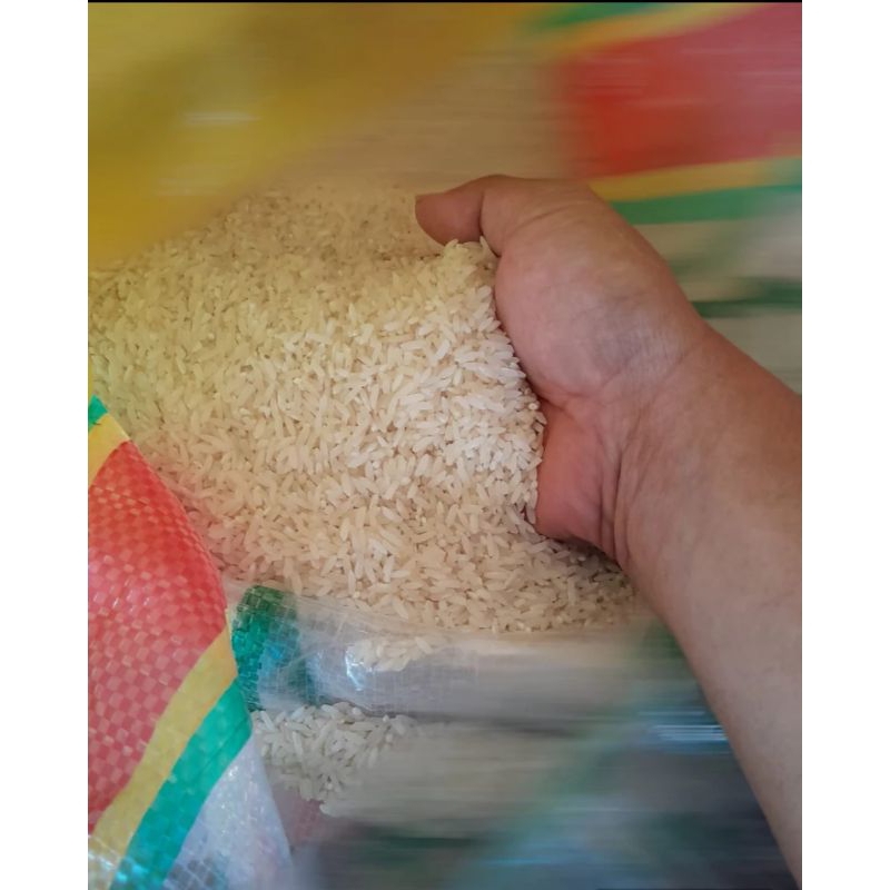 

Beras asli hasil panen sendiri dari kebumen nasi punel