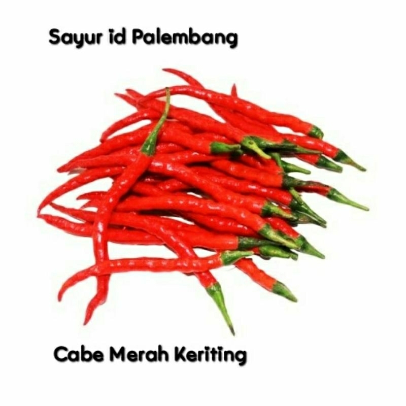 

[ DIKIRIM INSTAN ] Cabe merah keriting - Sayur id Palembang
