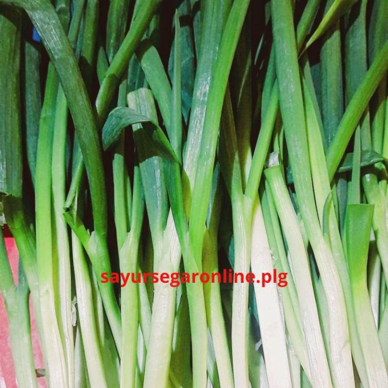 

DAUN BAWANG (250 GR) - Sayur Online Palembang