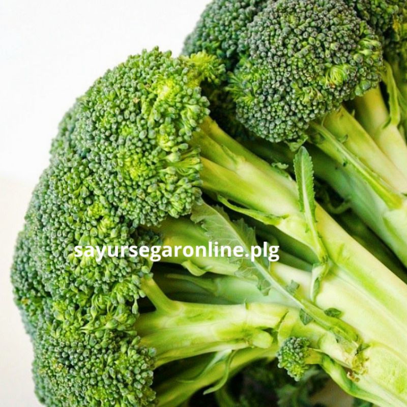 

BROKOLI Segar (1 bongkah / 250 gr) - Sayur Online Palembang