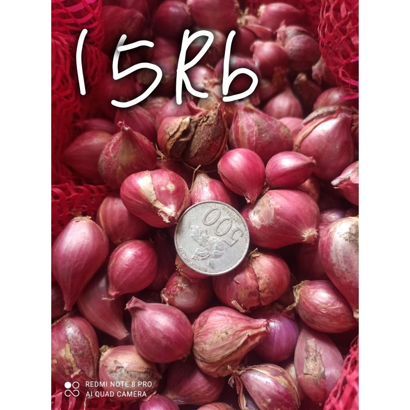 

BAWANG MERAH