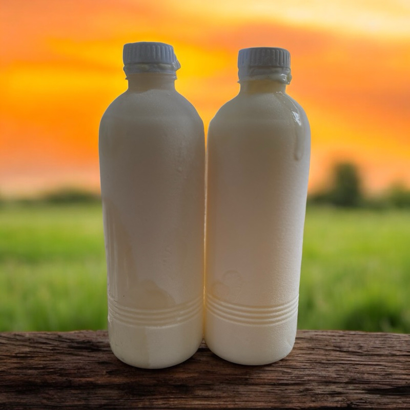 

Susu Kambing Etawa Murni 500ml | Murni Susu Kambing Bukan Campuran Khusus Instant Surabaya