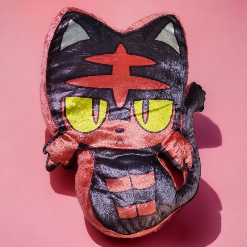 Cushion Pokemon Litten