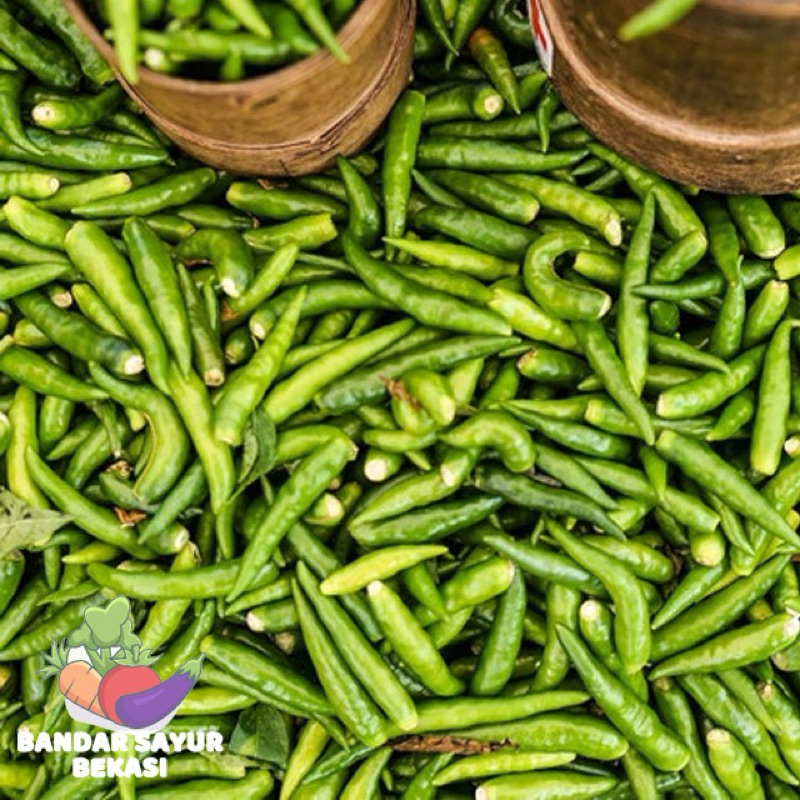 

Cabe rawit hijau segar 100gr