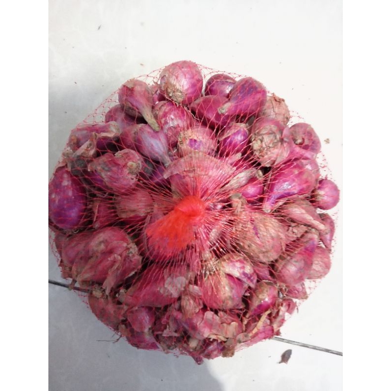 

bawang merah super 500 gr