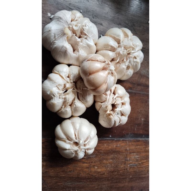 

bawang putih