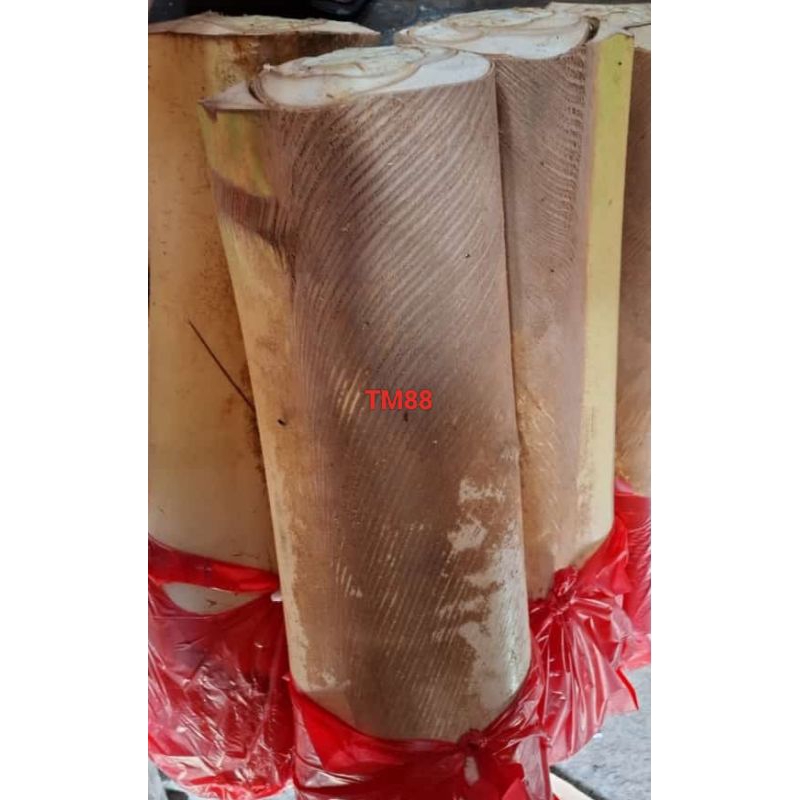 

UMBUT KELAPA/HUMBUT KELAPA PER TUNDUN SEGAR/JAI SIM SEGAR